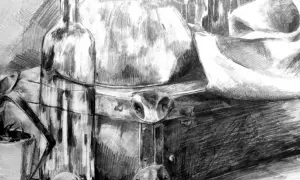 Szkic ołówkiem: butelka, doniczka z rośliną, skrzynia i draperia. Świetny przykład, co można narysować ołówkiem.