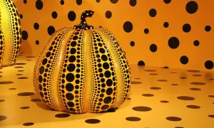 Żółta dynia w czarne kropki, charakterystyczna dla yayoi kusama obrazy, na tle ściany i podłogi w tym samym wzorze.