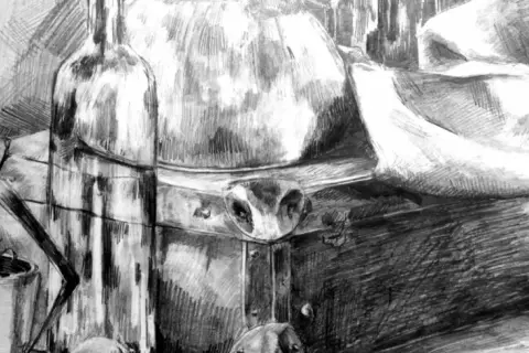 Szkic ołówkiem: butelka, doniczka z rośliną, skrzynia i draperia. Świetny przykład, co można narysować ołówkiem.