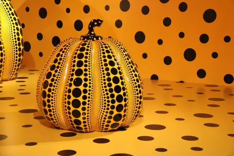 Żółta dynia w czarne kropki, charakterystyczna dla yayoi kusama obrazy, na tle ściany i podłogi w tym samym wzorze.
