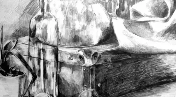 Szkic ołówkiem: butelka, doniczka z rośliną, skrzynia i draperia. Świetny przykład, co można narysować ołówkiem.