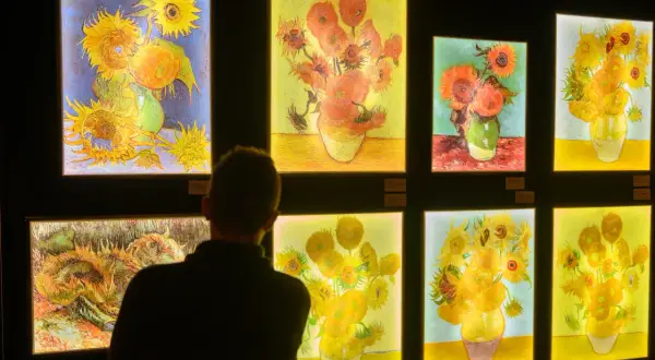 Osoba ogląda wystawę obrazów van Gogha z słonecznikami.