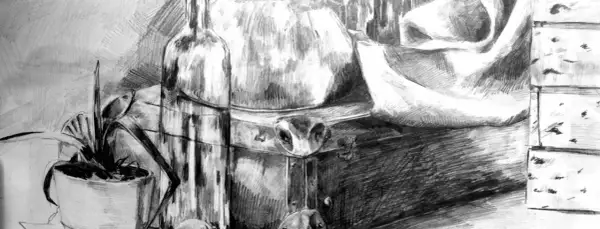 Szkic ołówkiem: butelka, doniczka z rośliną, skrzynia i draperia. Świetny przykład, co można narysować ołówkiem.